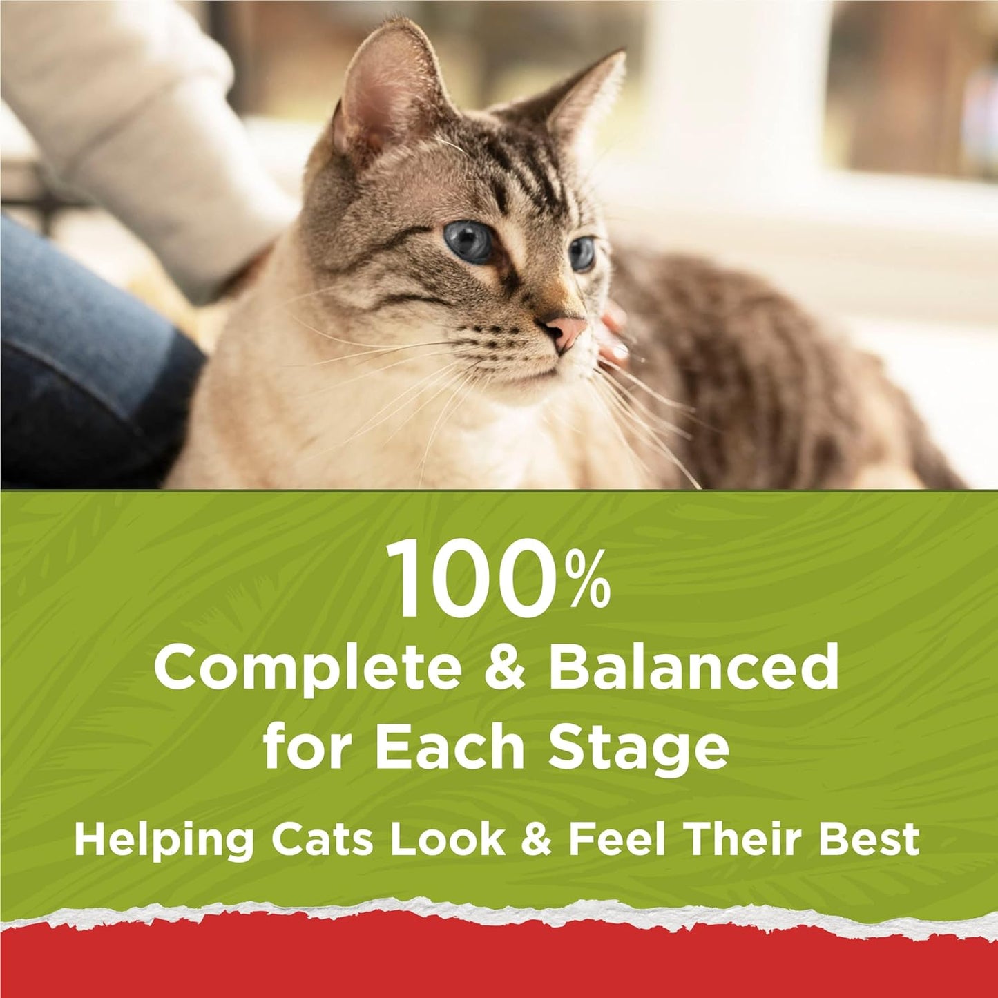 Purina Cat Chow
