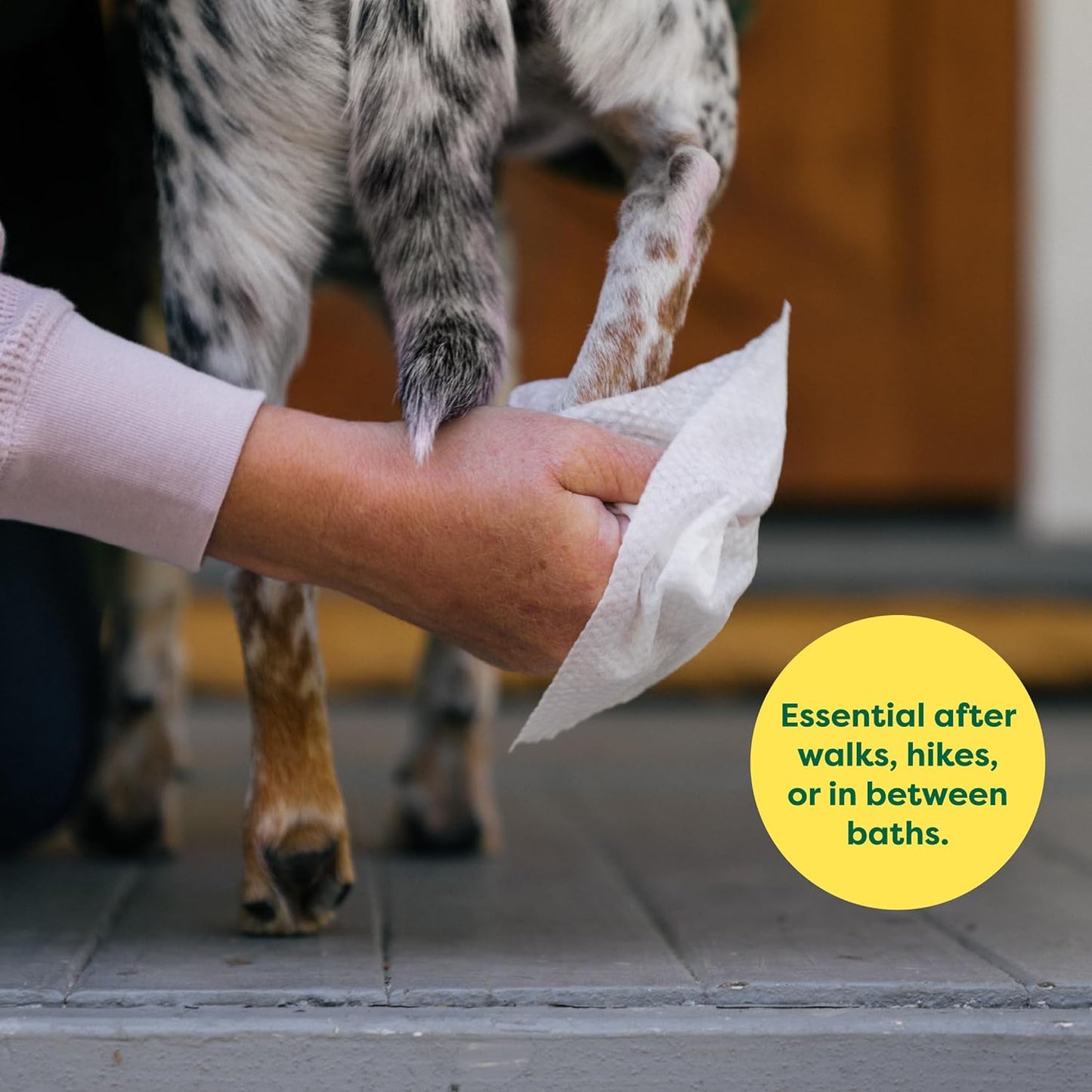 EcoPaw Wipes