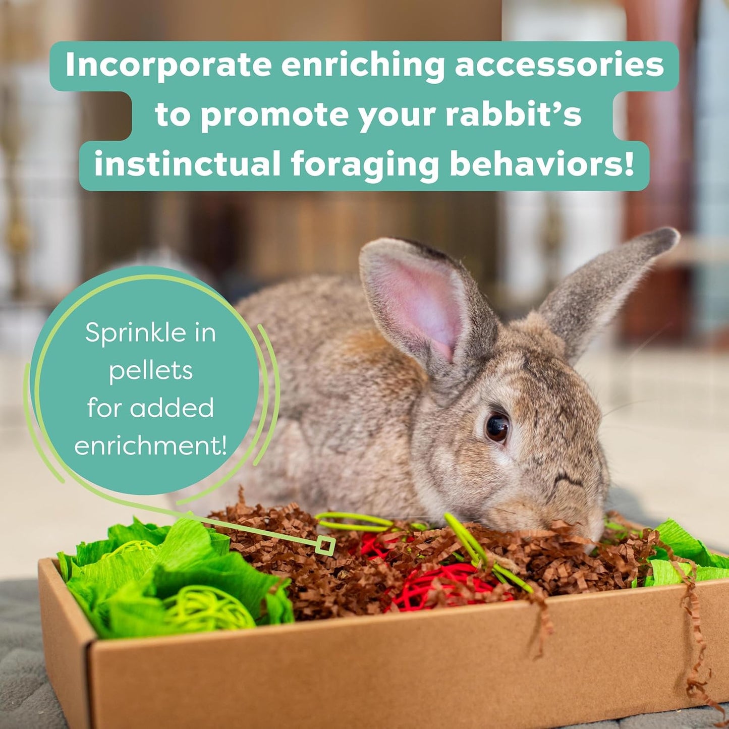 Oxbow Essentials Rabbit Food