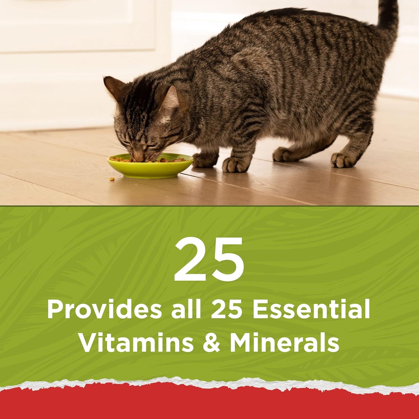 Purina Cat Chow